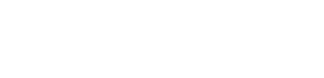 Plussreiser Logo | White